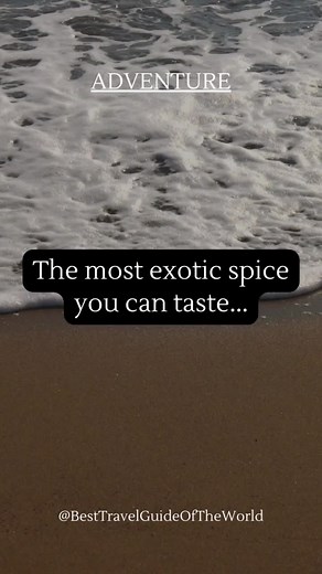 The most exotic spice you can taste is... ...the thrill of novelty in every adventure. #travel #adventure #explore #exploring #exploration #travelling #backpacking #roadtrip, #story #shorts