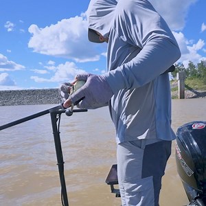 See the fish and your lure, live and in real time, clarity is the key to catching fish like a Pro. | Lowrance | Facebook