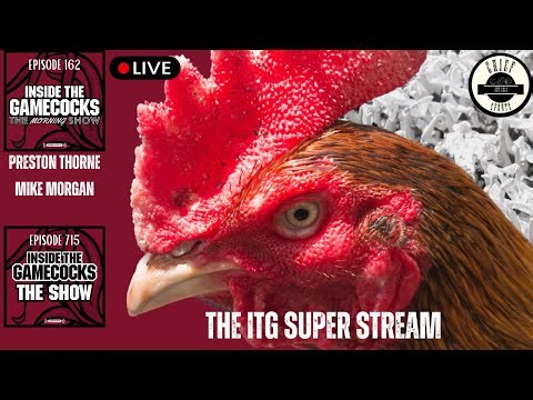 Gamecocks Live: Defensive Power Shines Through | Bye Week Expectations