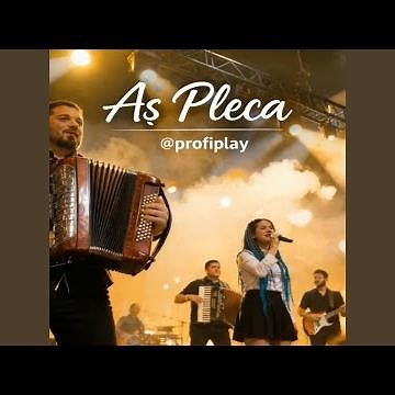Aș pleca..