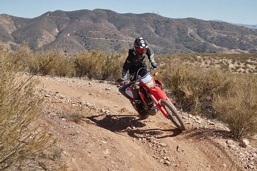 2021 Honda CRF300L vs. 2021 Honda CRF300L Rally Review First Ride