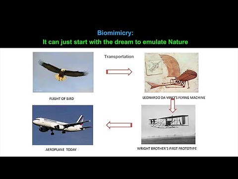Biomimicry: Innovating using Nature’s Toolbox