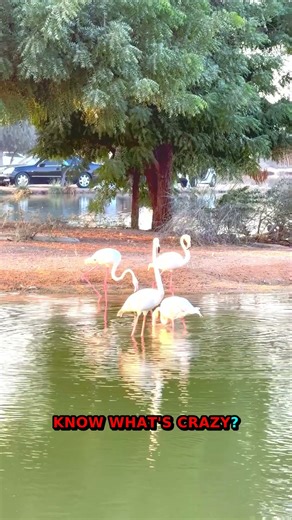 Revealing Science Secrets Through Time | Visual Science Evolution