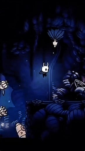 Eles não param 😭 kkkkkk #hollowknight #memepage | pauleira gamer