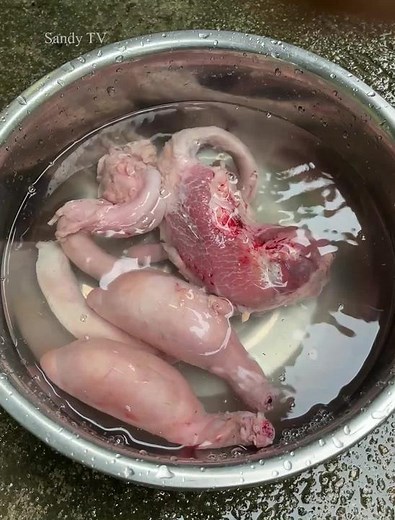 Sandy TV នៅលើ TikTok