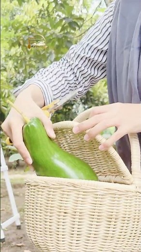 Let’s Go Avocado Picking! So Satisfying 🥑🧺