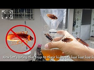 HOW TO: DIY Cockroach Trap