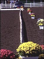 National Dressage Championships results - Horse & Hound