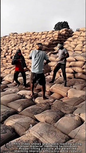 Grain Sack Handling Work Tool Using Manual Lifting Method #worktool