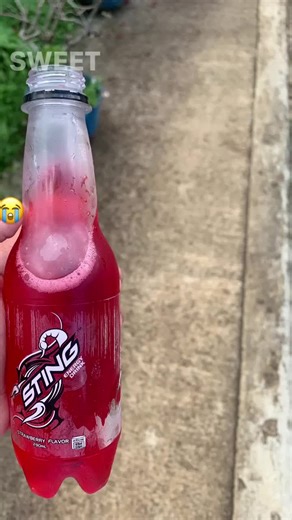 Creative Sting Pranks and Photos to Try