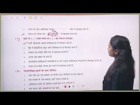 पर्यावरण Class 5 | Chapter 6 – Exercise