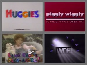 PTV Park Program Break (1994 WMVS) #3