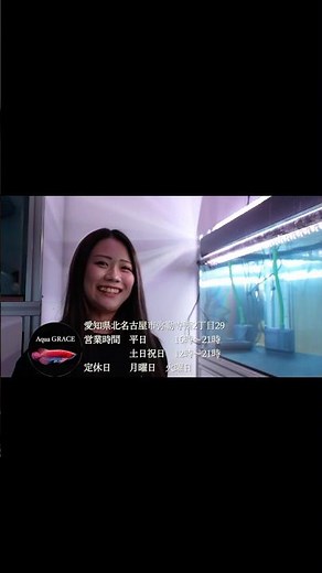愛知県にアジアアロワナ専門店 オープン！ アクアグレイスarowana #大型魚 #aquarium