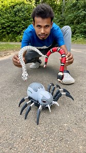 1.6M views · 7.3K reactions | Two RC Snake VS Remote Control Spider Unboxing  #unboxing #toys #snake #spider | Bm Kidz Toys | Facebook