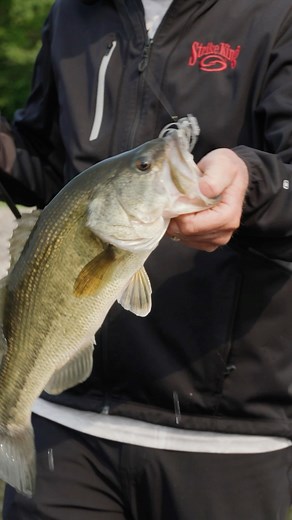 60K views · 1.2K reactions | Big vibration. Bold sound. The new Rattlin’ Thunder Cricket from Strike King Lure Company takes bladed jig fishing to another level. It’s got the same action I trust with added noise to call ‘em in when conditions get tough. This bait gets their attention.  #ThunderCricket #TieOneOn | Kevin VanDam | Facebook