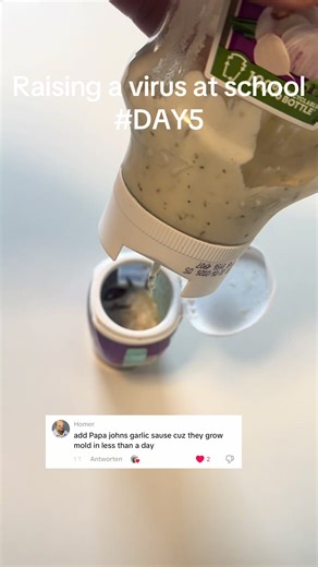 Raising a Virus at School on Day 5