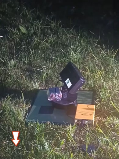 This is a USB mosquito trap that uses blue light to attract insects, killing mosquitoes with a safer physical method while being highly energy efficient-zy