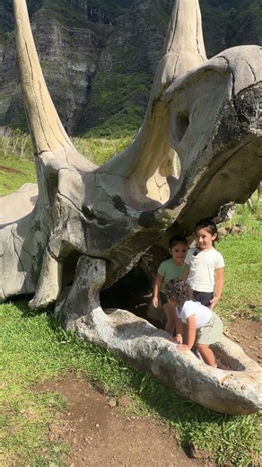 Taking my kids to the Real Jurassic Park in Hawaii #dadlife #dinosaurs