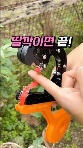 식물 줄기 손으로 묶던 분들 이거 보면 끝납니다