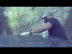 Como pintar un coche a rodillo 3a parte