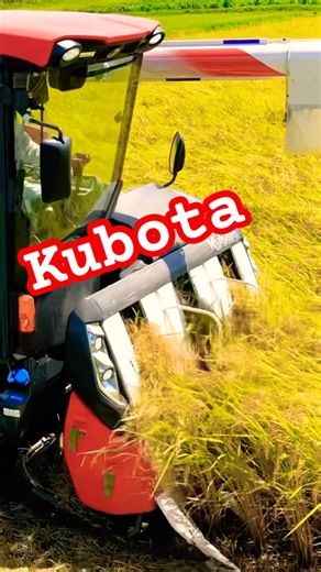 Kubota DR6130クボタの6条130馬力コンバインで刈り取りSTAR🏃‍♂️