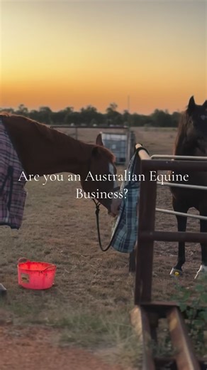 FREE advertisement for a 6 months!Before we launch we are looking for Aussie Equine Businesses to join the best website to hit the industry!We want to hear from you!#equine #downunderequinehub #DUEH #fy #viral #trending #comingsoon #smallbusiness #support #fyp #australianbusiness #equine #horsesontiktok | Down Under Equine Hub