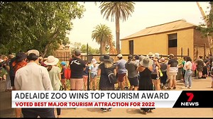 2.5K views · 43 reactions | Adelaide Zoo has picked up the top gong at the Australian Tourism Awards. Details in 7NEWS Adelaide at 4pm and 6pm | www.7NEWS.com.au #7NEWS | 7NEWS Adelaide | Facebook