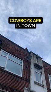 321K views · 1K reactions | Try your best...foam the rest #fyp #cowboys #fails #funnyreels #foryou | On The Tools | Facebook