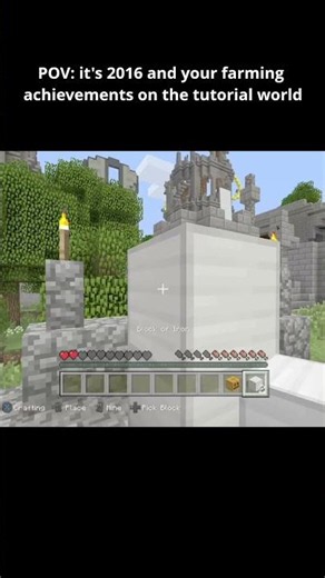 we used the tutorial world...