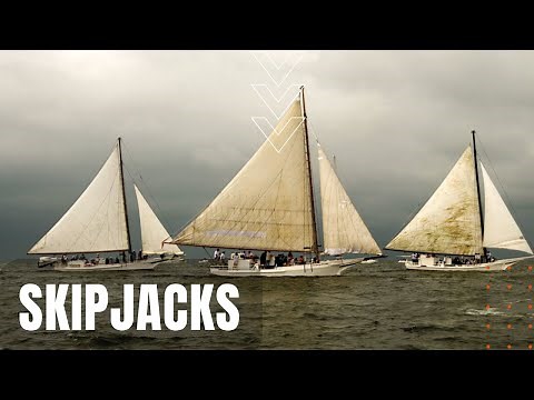 Skipjacks of the Chesapeake Bay