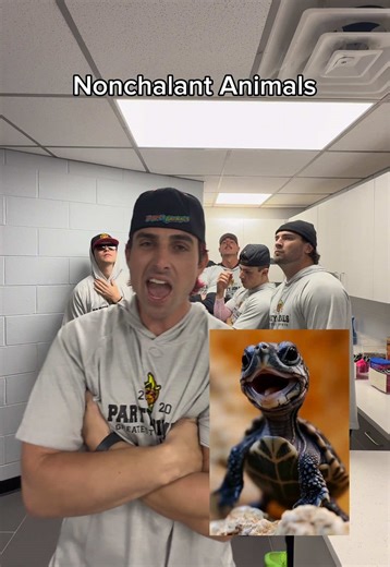 Which one was your favorite? 🦍🤣 @Telly @Dalton_ponce22 @Brady Kais @Tanner Thomas @Andy #trynottocringe #fyp #cringe #foryoupage #funny