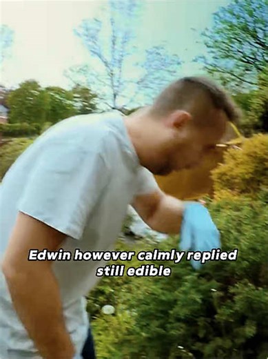 Understanding Obsessive-Compulsive Cleaners: A Deep Dive