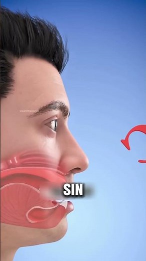 ¿Qué pasaría si pierdes la lengua? 😳