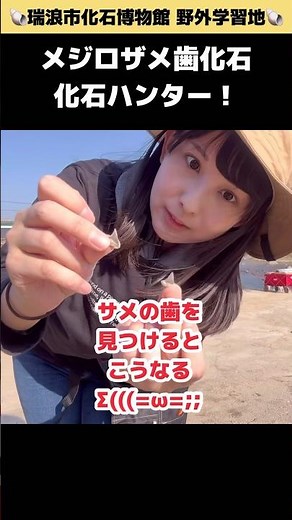 【化石採集】サメの歯化石を見つけるとこうなる #化石ハンター #まゆみん