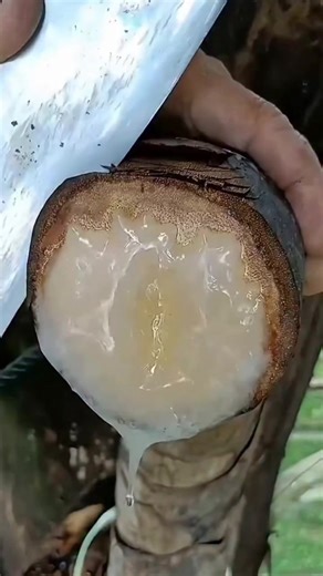 4 Enduring Truths to Remember Until Death