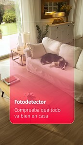 🐶Con la alarma de Securitas Direct, puedes salir a hacer cualquier plan con total tranquilidad, sabiendo que tu hogar y tu mascota están protegidos en todo momento.🐶 Gracias a nuestro fotodetector, puedes acceder a las imágenes para comprobar que tu casa y tu mascota están bien mientras tú estás fuera. | Securitas Direct España