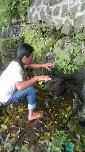 catching wild monitor lizards on the riverbank #shortvideo