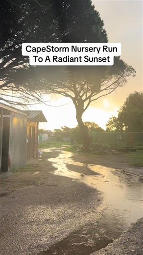 🌧️🌱 Braving the wild Cape storm to explore the nursery was a whole vibe! ☔ The rain was relentless, turning every path into a slippery adventure, but I was all in for it—navigating through the downpour felt like a mission through nature’s playground. 💦 Then, I found myself following this little river, carved by the #CapeStorm 🌊🍂 Every splash, every gust of wind, made me feel so alive, like I was part of the storm’s story. And just when I thought it couldn’t get better, the clouds broke, and