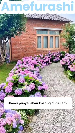 amefurashi on TikTok