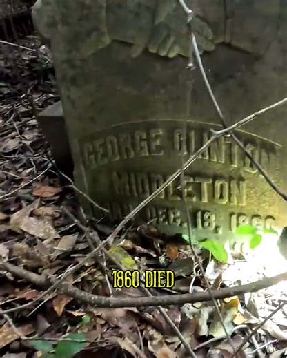 Graves Among the Trees... #adventures #exploration #preservation | Adventures Into History