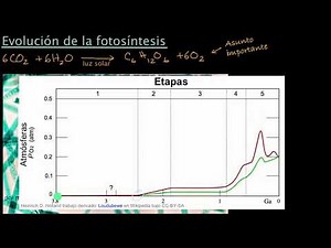 Evolution of Photosynthesis | Khan Academy in Spanish