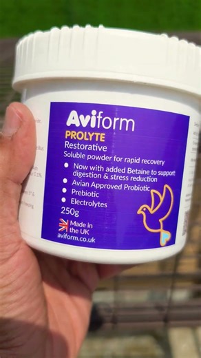 PIGEON DEWORMING WITH AVITROL PLUS #kabootarbazi #HOMINGPIGEON #KABOOTAR