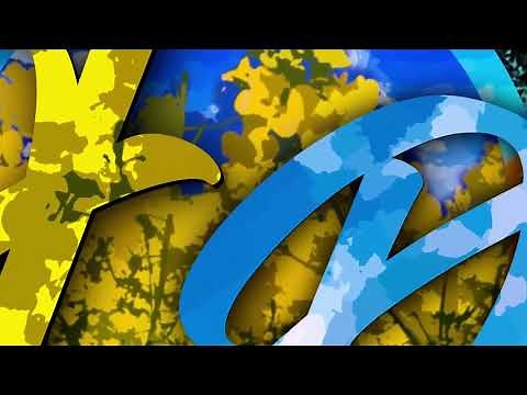 Tutorial | Nvidia Gameshader | FD | LS25