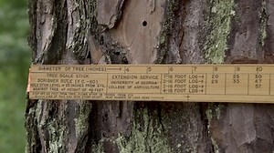 Biltmore Stick Instruction