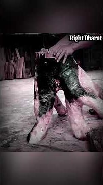 "Unleashing Creativity: Turning a Wood into a Beautiful Table"