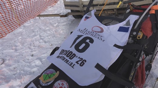 ‘It’s nice to just get on the trail with dogs’: Iditarod 54 takes off as mushers depart Willow