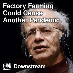 5.2K views · 254 reactions | "The way to breed new viruses is to lock...