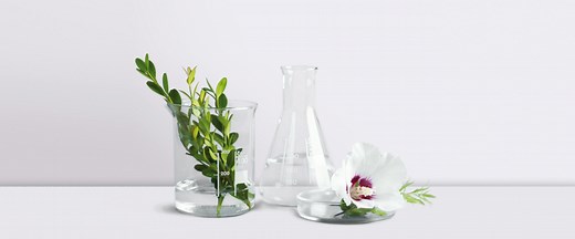 L'Oréal Groupe: Green Sciences at the Heart of the Cosmetic Transition for L'Oréal for the Future