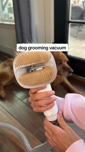 The Ultimate Dog Grooming Kit for Hairy Dog Owners