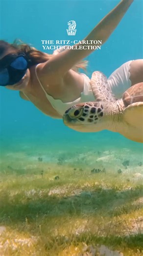 Across turquoise waters to colorful harbors, discover the Caribbean by superyacht on a voyage unlike the rest. | The Ritz-Carlton Yacht Collection